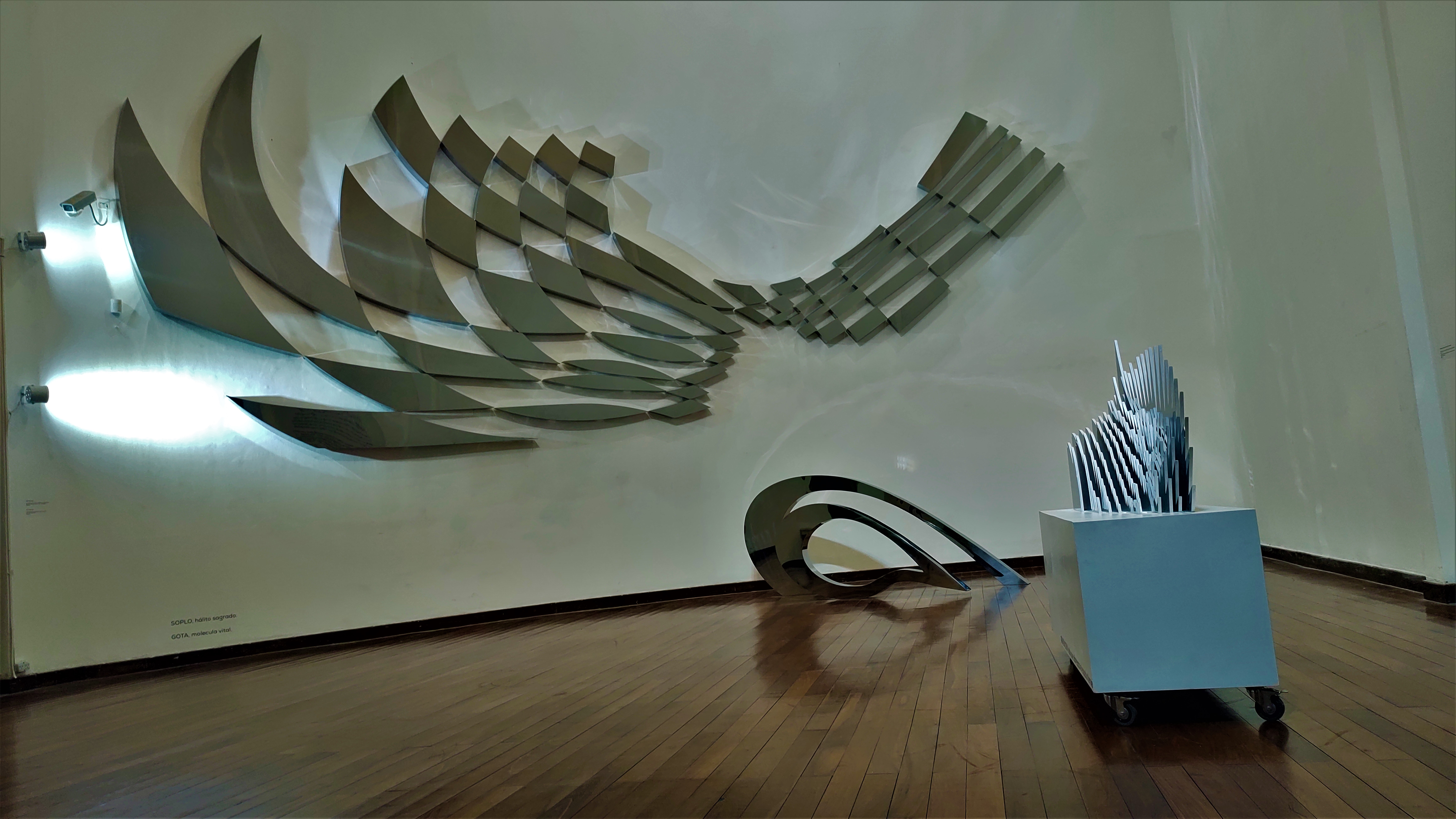 Muestra de Loly Rodríguez en el Museo de Bellas Artes 2.022